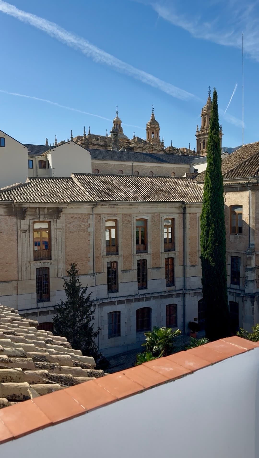 La Catedral de Jaén vista desde la terraza